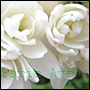 olejek perfum premium białe kwiaty