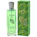 PA 105 – Paris Avenue - Garden Tea – Perfumy 100ml